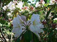 2009-06-15_11-46-55_0050