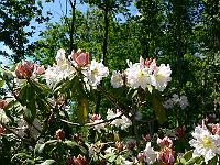 2009-06-15_11-49-45_0076