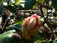 2011-03-27_10-10-41_0069