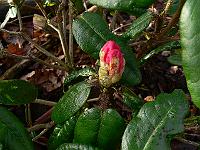 2011-04-01_08-14-22_0003