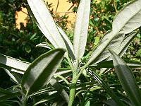10-07-2007_17-38-10_22