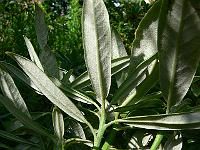 10-07-2007_17-38-21_25