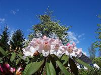 11-05-05kodak_176