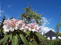 11-05-05kodak_177