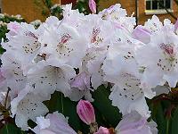12-05-2006_19-36-36_156