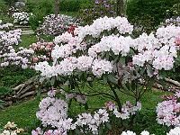 13-05-2006_10-49-17_107