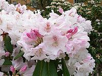13-05-2006_10-55-57_210