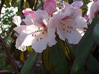14-05-05kodak_005