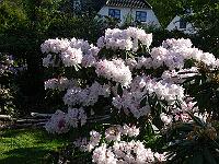 14-05-2006_08-20-44_140