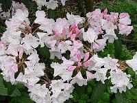 15-05-2006_10-23-08_216