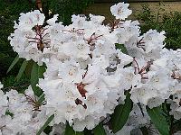 18-05-2006_20-26-07_135