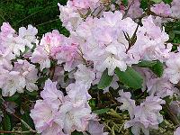 30-05-2006_10-12-27_20