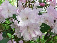 30-05-2006_10-12-53_27