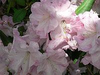 30-05-2006_10-12-56_28