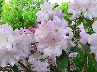 30-05-2006_10-13-18_34