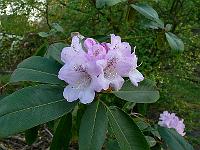 12-05-2006_19-32-55_103