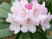 13-05-2006_10-45-11_43
