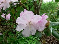 13-05-2007_10-10-37_97