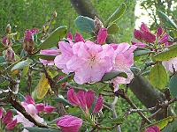 21-05-05kodak_149