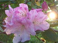 21-05-05kodak_150