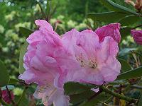 21-05-05kodak_151