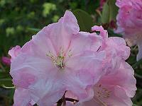 21-05-05kodak_152