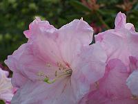 21-05-05kodak_153
