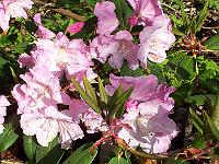 22-05-05kodak_079