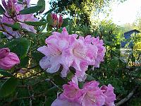 24-05-05kodak_017