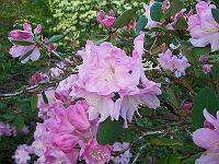 24-05-05kodak_018