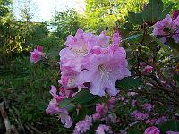 24-05-05kodak_020