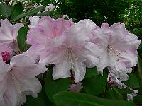 24-05-2007_14-18-04_124