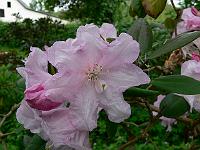 24-05-2007_14-18-32_131