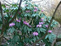 15-04-2006_18-03-26_141