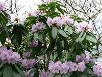 17-04-2006_15-08-05_92