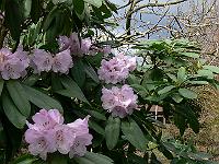 17-04-2006_15-08-22_97