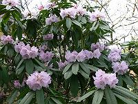18-04-2006_17-51-11_20