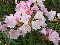 16-05-05kodak_038