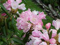 16-05-05kodak_039