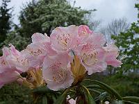 16-05-05kodak_041