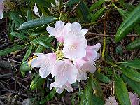 17-05-05kodak_014