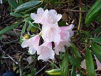 17-05-05kodak_017