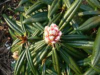 07-05-2006_09-21-45_02