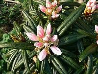 08-05-2006_18-02-16_265