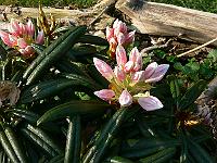 08-05-2006_18-02-48_274