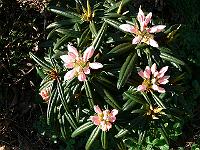 09-05-2006_08-52-40_01