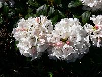 06-05-2008_22-13-11_17