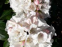 06-05-2008_22-13-11_192