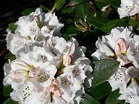 06-05-2008_22-13-11_25