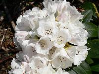 07-05-2008_20-49-14_20